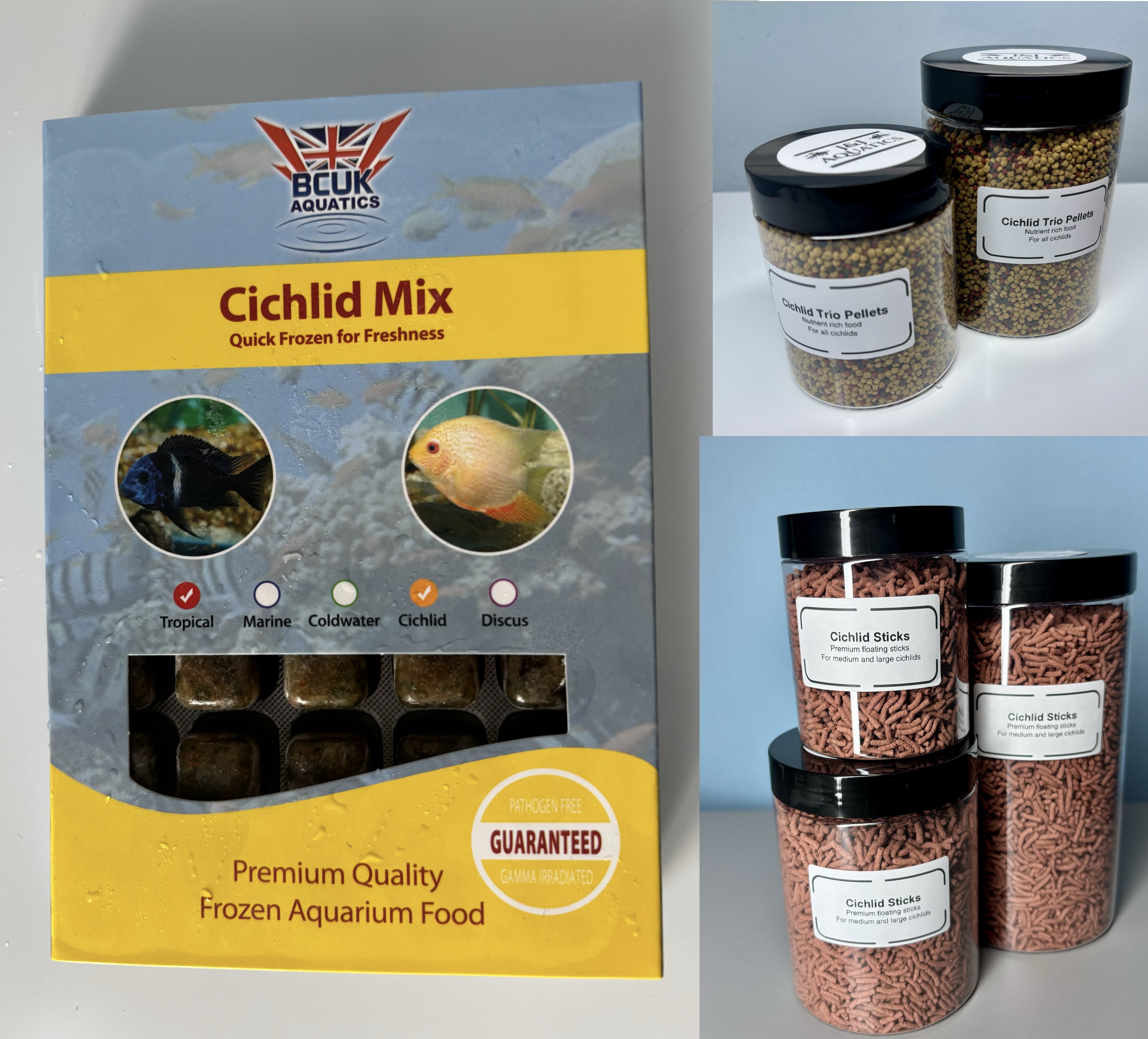 Cichlid bundle