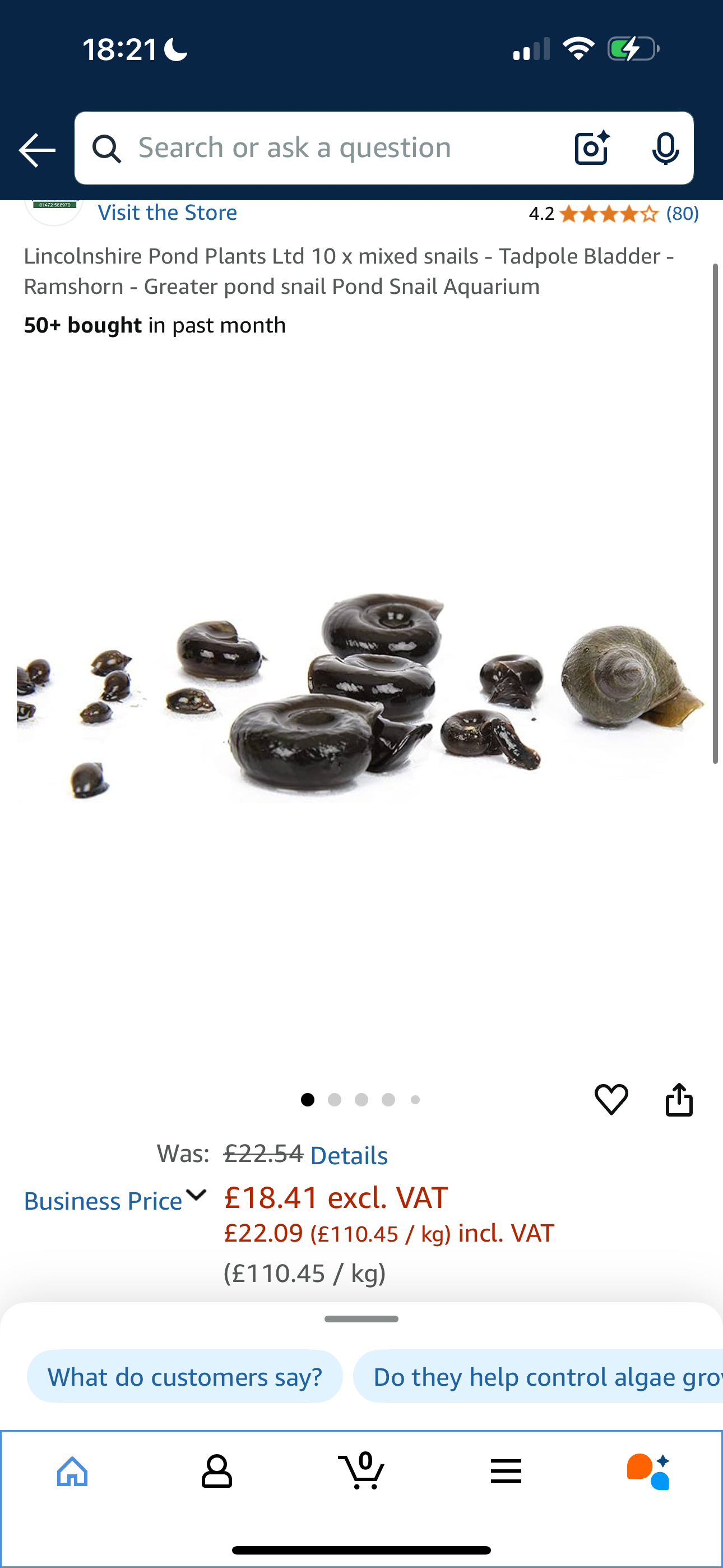 Cichlid bundle - Image 2